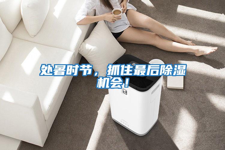 處暑時(shí)節(jié)，抓住最后除濕機(jī)會(huì)！