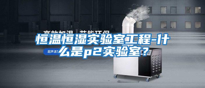恒溫恒濕實驗室工程-什么是p2實驗室？