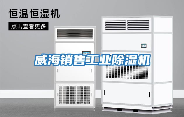威海銷售工業除濕機