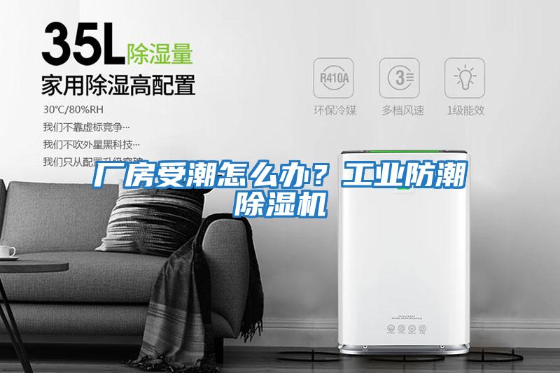 廠(chǎng)房受潮怎么辦？工業(yè)防潮除濕機(jī)
