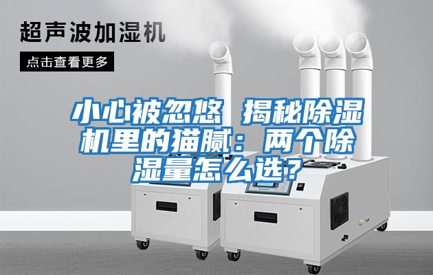 小心被忽悠 揭秘除濕機里的貓膩：兩個除濕量怎么選？