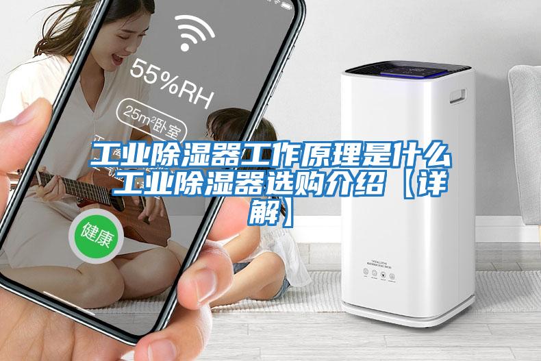 工業除濕器工作原理是什么 工業除濕器選購介紹【詳解】