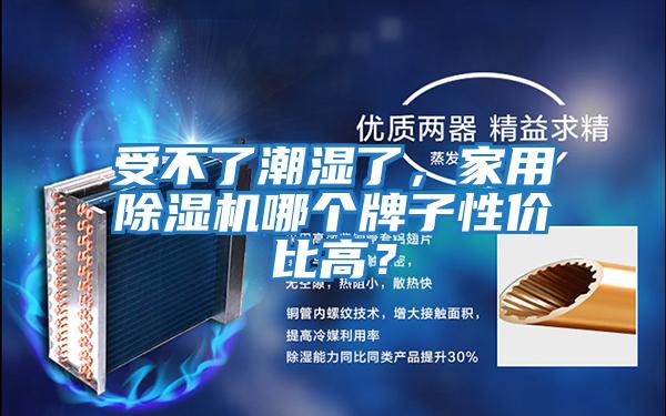 受不了潮濕了，家用除濕機哪個牌子性價比高？