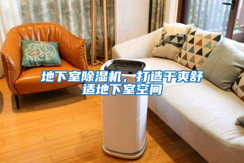 地下室除濕機，打造干爽舒適地下室空間
