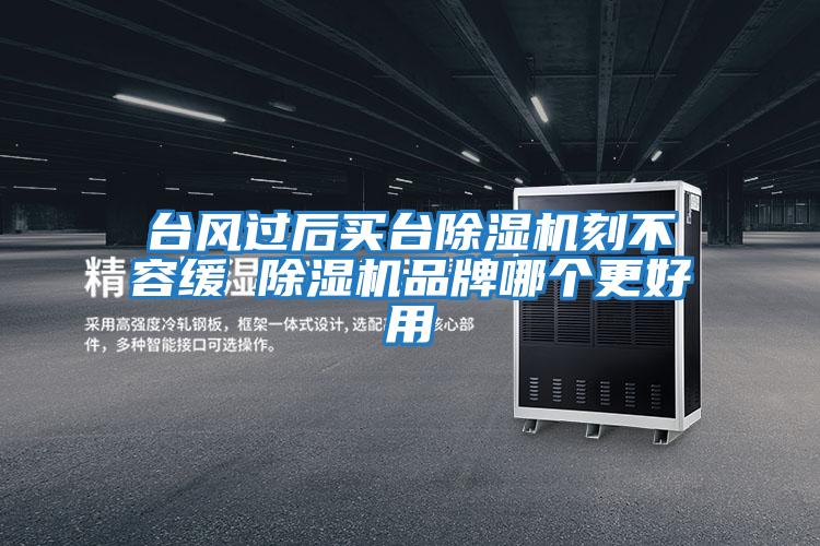 臺風(fēng)過后買臺除濕機刻不容緩 除濕機品牌哪個更好用