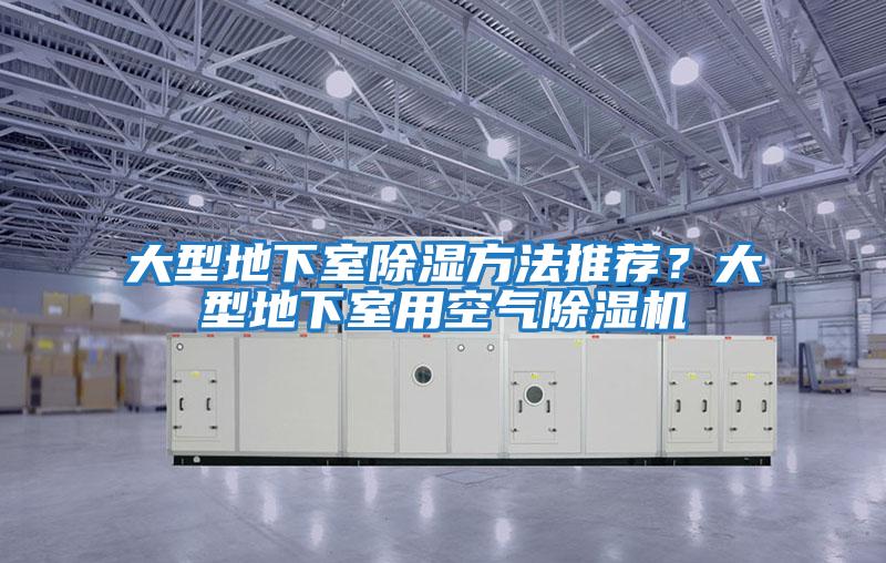 大型地下室除濕方法推薦？大型地下室用空氣除濕機