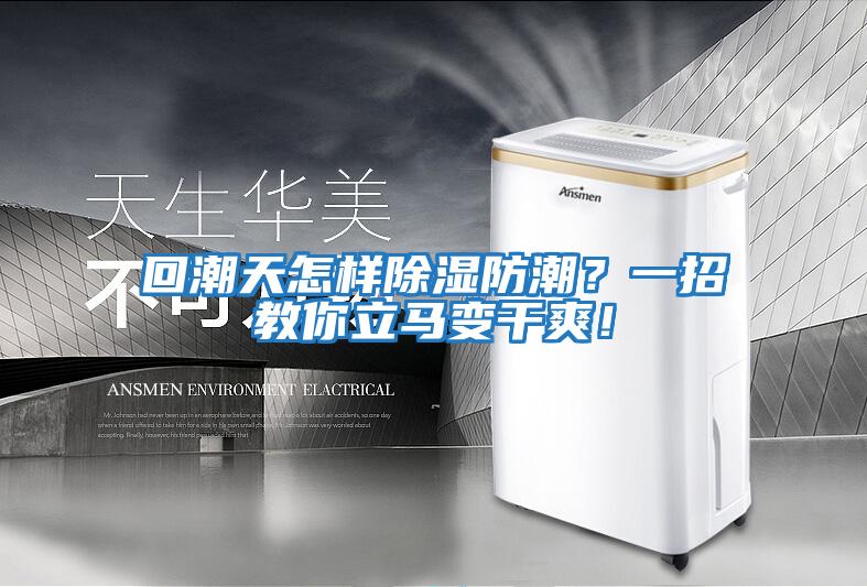 回潮天怎樣除濕防潮？一招教你立馬變干爽！