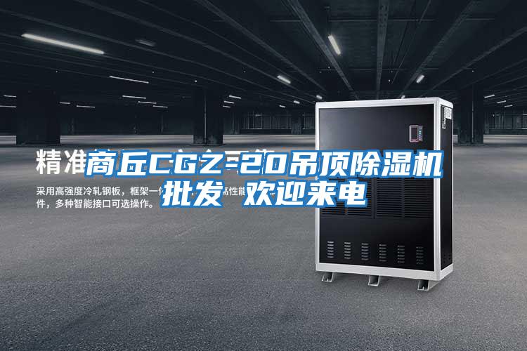 商丘CGZ-20吊頂除濕機批發 歡迎來電