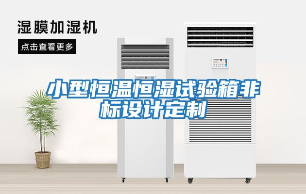 小型恒溫恒濕試驗箱非標設計定制