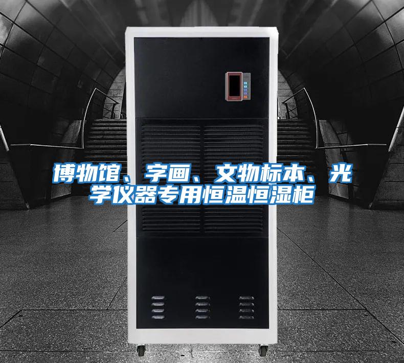 博物館、字畫、文物標本、光學儀器專用恒溫恒濕柜