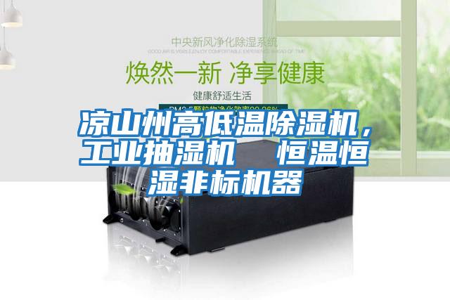 涼山州高低溫除濕機，工業抽濕機  恒溫恒濕非標機器