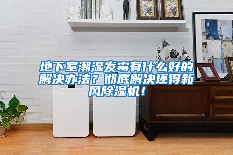 地下室潮濕發(fā)霉有什么好的解決辦法？徹底解決還得新風除濕機！