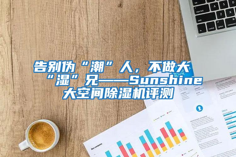 告別偽“潮”人，不做大“濕”兄——Sunshine大空間除濕機(jī)評(píng)測(cè)