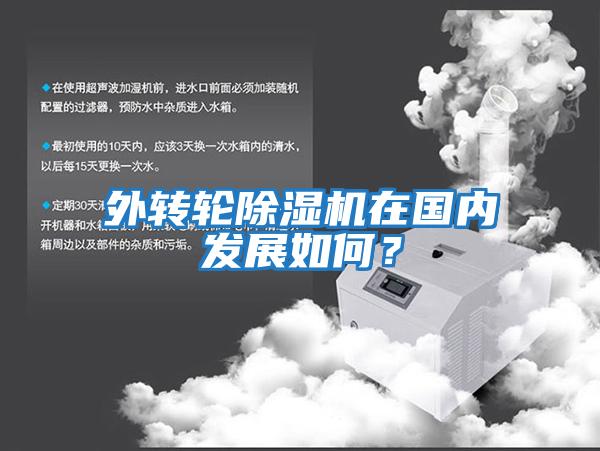 外轉(zhuǎn)輪除濕機(jī)在國(guó)內(nèi)發(fā)展如何？