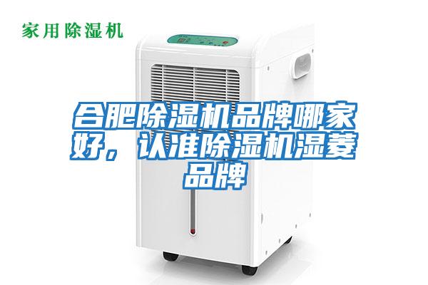 合肥除濕機品牌哪家好，認準除濕機濕菱品牌