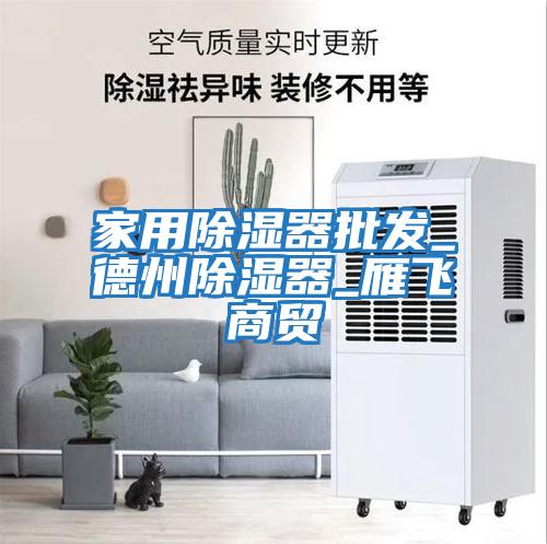 家用除濕器批發_德州除濕器_雁飛商貿