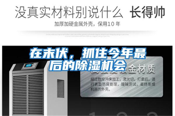 在末伏，抓住今年最后的除濕機會
