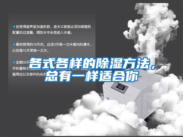 各式各樣的除濕方法，總有一樣適合你