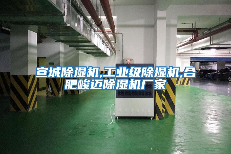 宣城除濕機,工業級除濕機,合肥峻邁除濕機廠家
