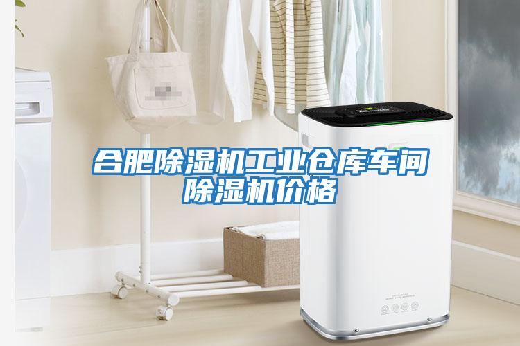 合肥除濕機工業倉庫車間除濕機價格