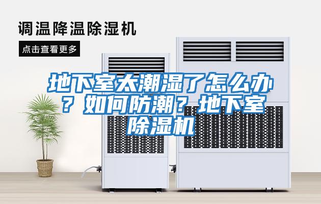 地下室太潮濕了怎么辦？如何防潮？地下室除濕機