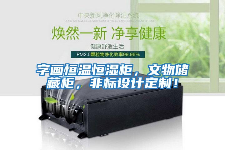 字畫恒溫恒濕柜，文物儲藏柜，非標設計定制！