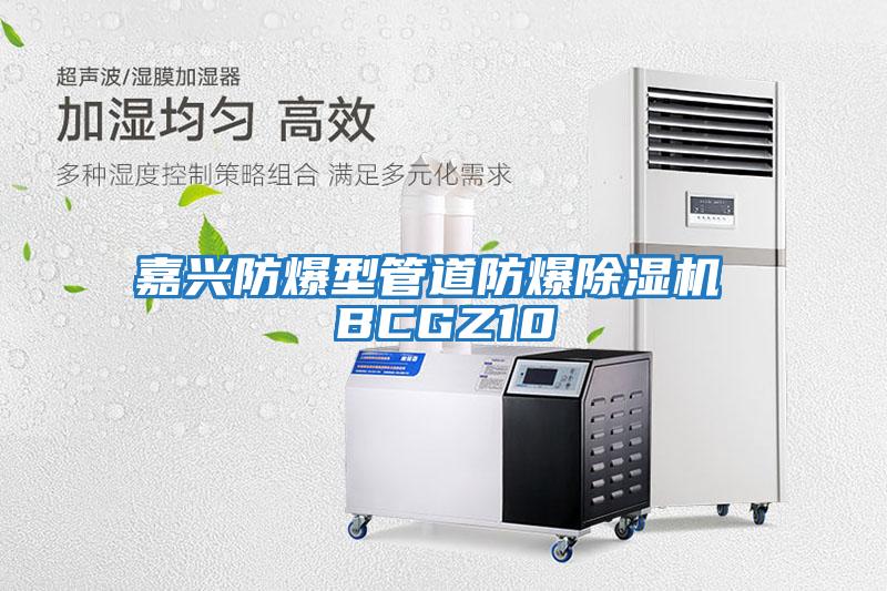 嘉興防爆型管道防爆除濕機 BCGZ10