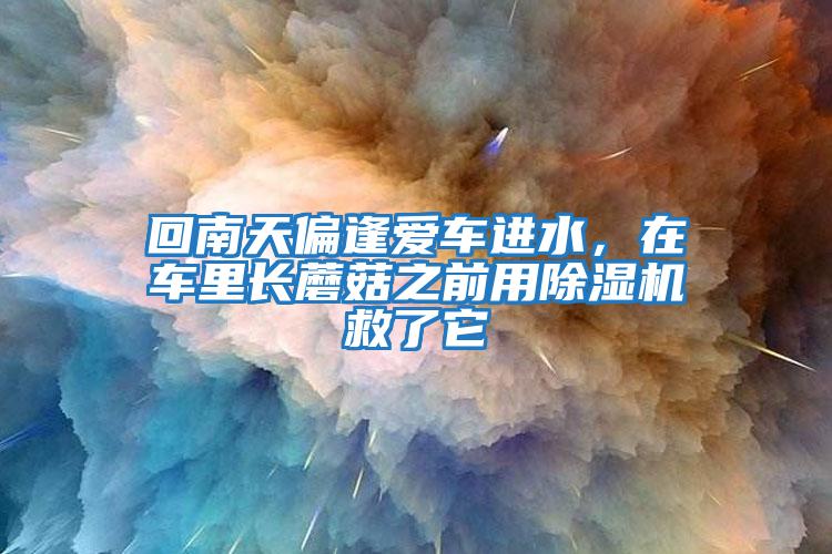 回南天偏逢愛車進水，在車里長蘑菇之前用除濕機救了它
