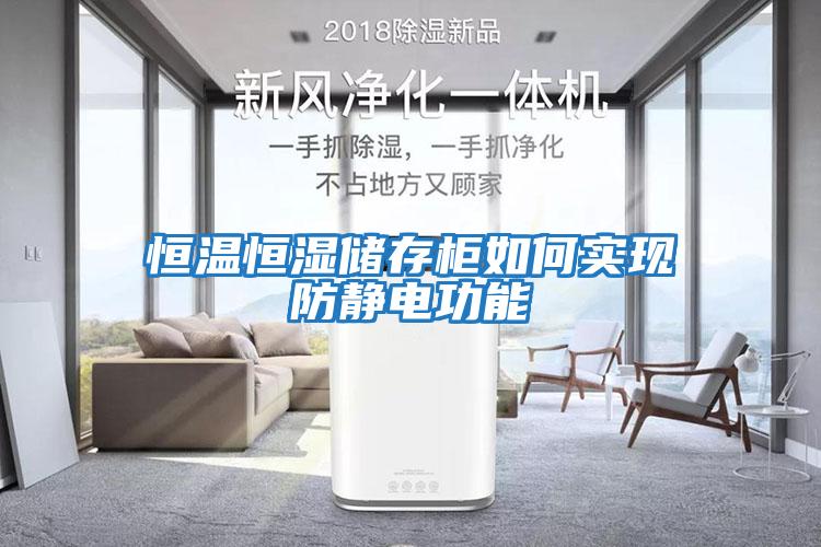 恒溫恒濕儲存柜如何實現防靜電功能