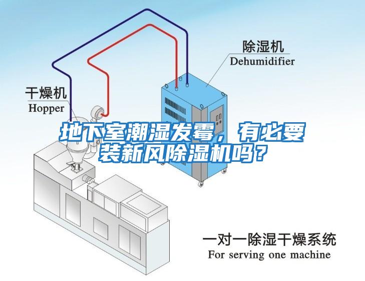 地下室潮濕發(fā)霉，有必要裝新風除濕機嗎？