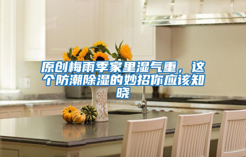 原創梅雨季家里濕氣重，這個防潮除濕的妙招你應該知曉
