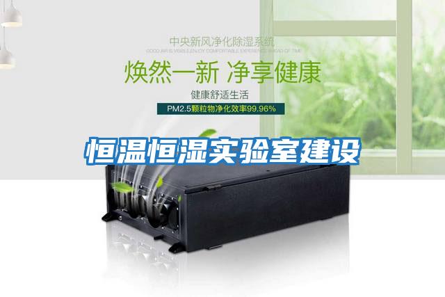 恒溫恒濕實驗室建設