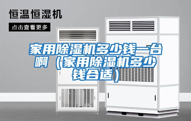 家用除濕機(jī)多少錢一臺啊（家用除濕機(jī)多少錢合適）