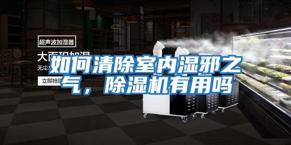 如何清除室內(nèi)濕邪之氣，除濕機有用嗎