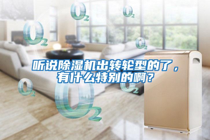 聽說除濕機出轉輪型的了，有什么特別的啊？