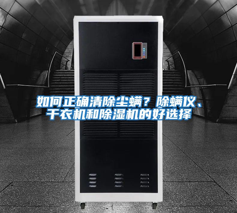 如何正確清除塵螨？除螨儀、干衣機和除濕機的好選擇