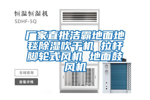 廠家直批潔霸地面地毯除濕吹干機 拉桿腳輪式風機 地面鼓風機