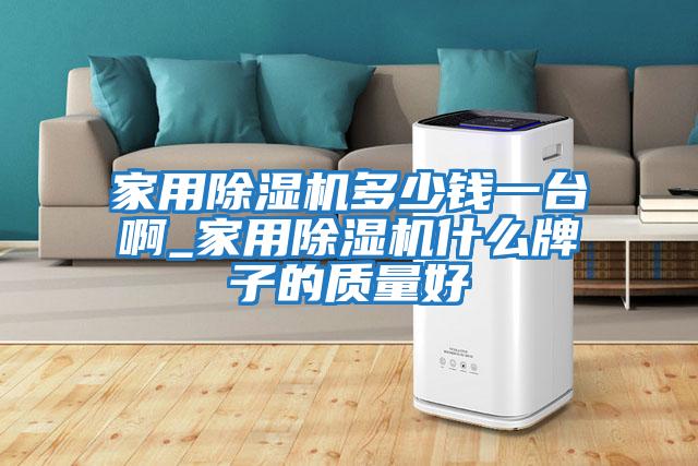 家用除濕機(jī)多少錢一臺啊_家用除濕機(jī)什么牌子的質(zhì)量好