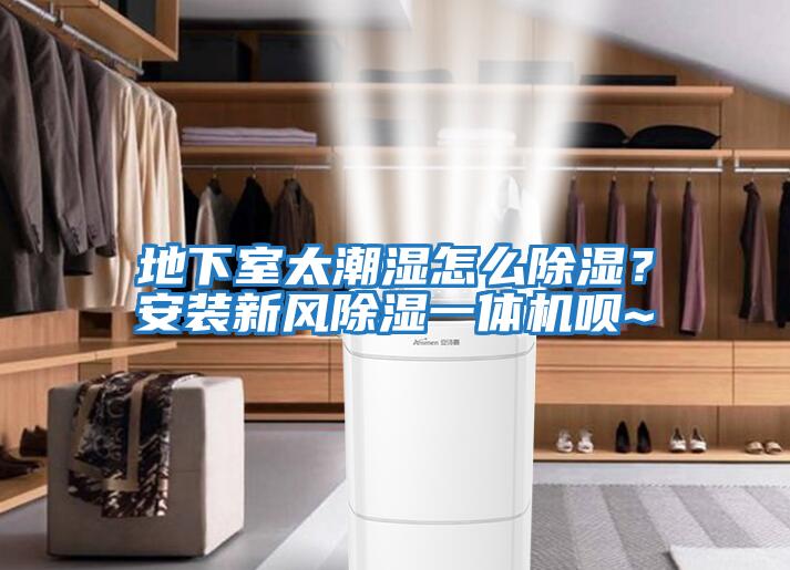 地下室太潮濕怎么除濕？安裝新風除濕一體機唄~
