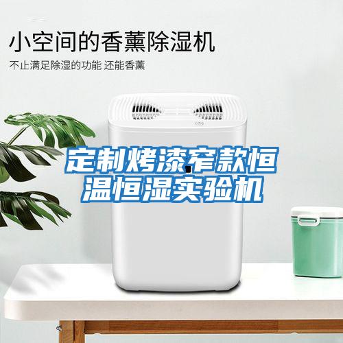 定制烤漆窄款恒溫恒濕實驗機