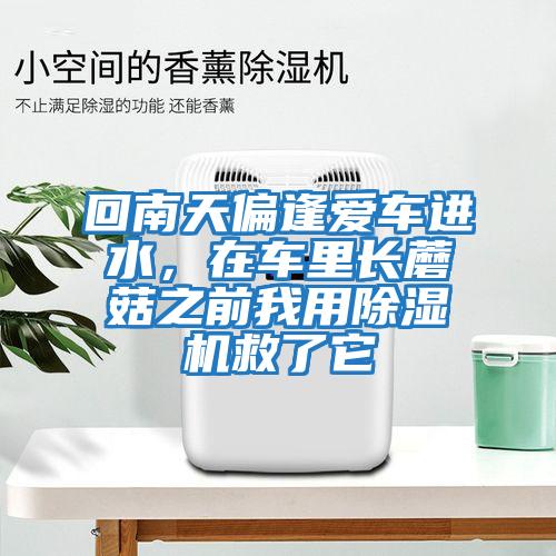回南天偏逢愛(ài)車(chē)進(jìn)水，在車(chē)?yán)镩L(zhǎng)蘑菇之前我用除濕機(jī)救了它