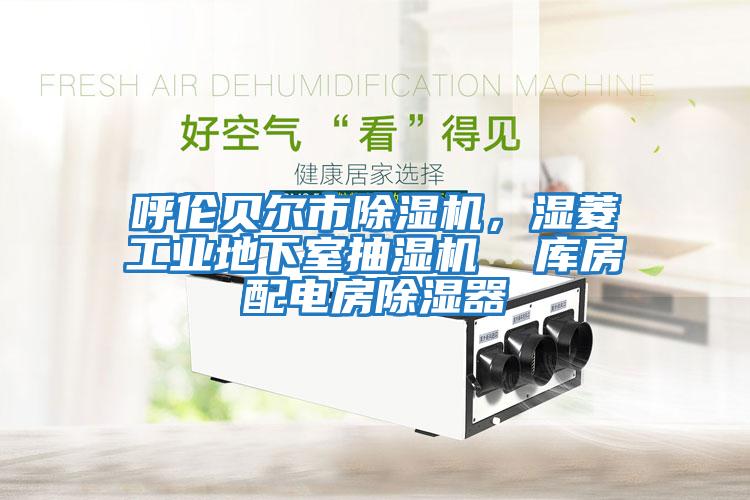 呼倫貝爾市除濕機，濕菱工業(yè)地下室抽濕機  庫房配電房除濕器