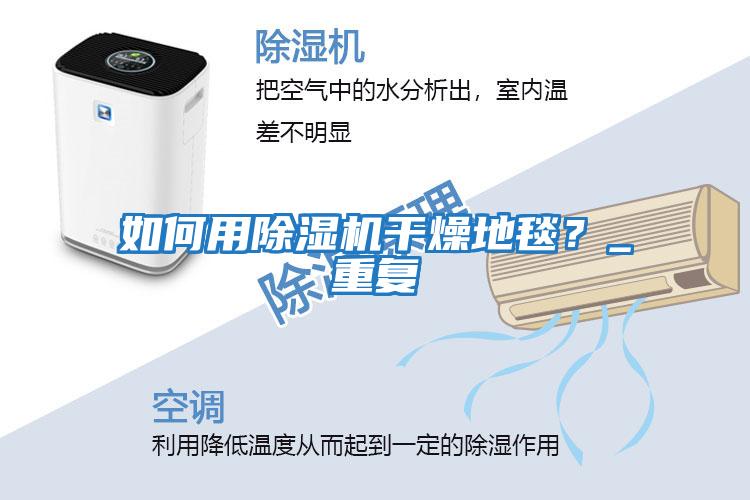 如何用除濕機干燥地毯？_重復