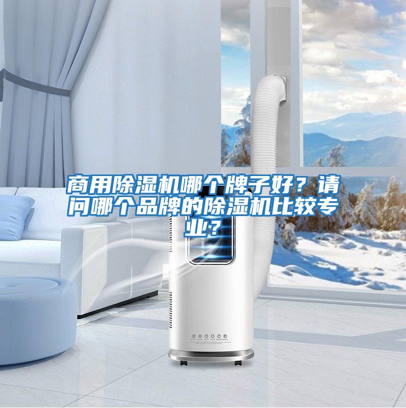 商用除濕機哪個牌子好？請問哪個品牌的除濕機比較專業(yè)？