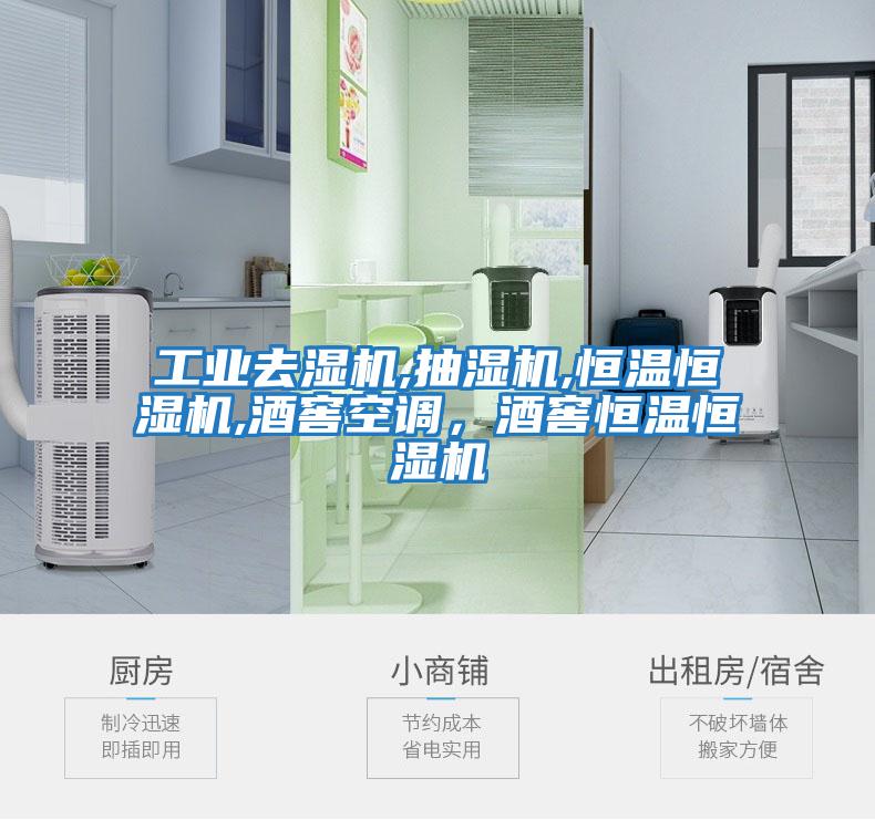 工業(yè)去濕機(jī),抽濕機(jī),恒溫恒濕機(jī),酒窖空調(diào)，酒窖恒溫恒濕機(jī)