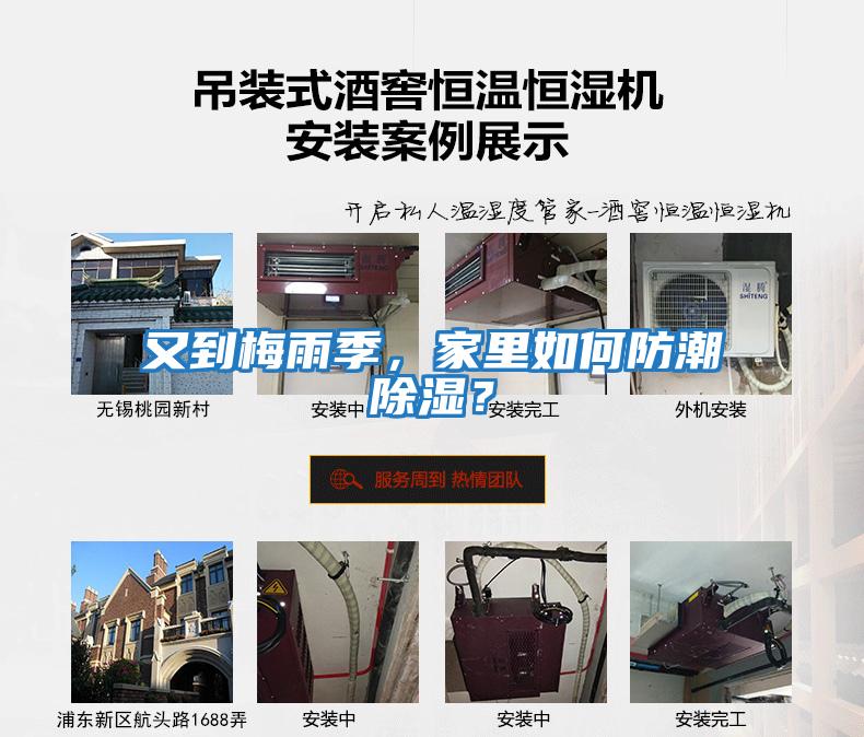 又到梅雨季，家里如何防潮除濕？