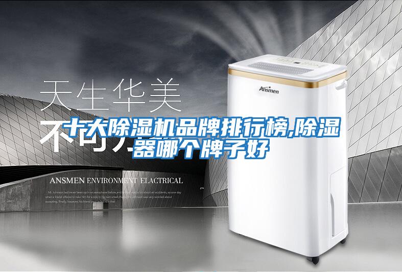 十大除濕機品牌排行榜,除濕器哪個牌子好