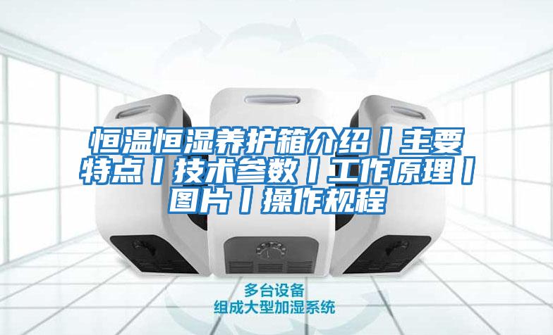 恒溫恒濕養護箱介紹丨主要特點丨技術參數丨工作原理丨圖片丨操作規程