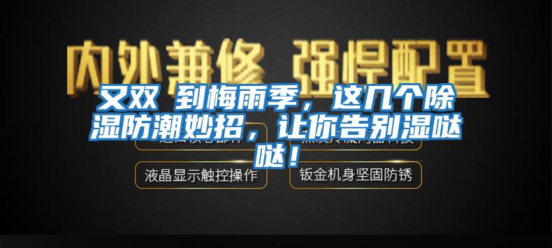 又雙叒到梅雨季，這幾個除濕防潮妙招，讓你告別濕噠噠！