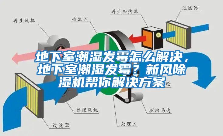 地下室潮濕發(fā)霉怎么解決，地下室潮濕發(fā)霉？新風除濕機幫你解決方案